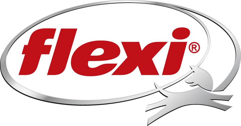 Flexi Logo